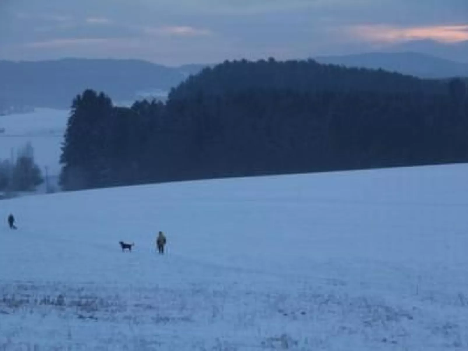 Appartement in Zandt mit Grill - Image-tags.info