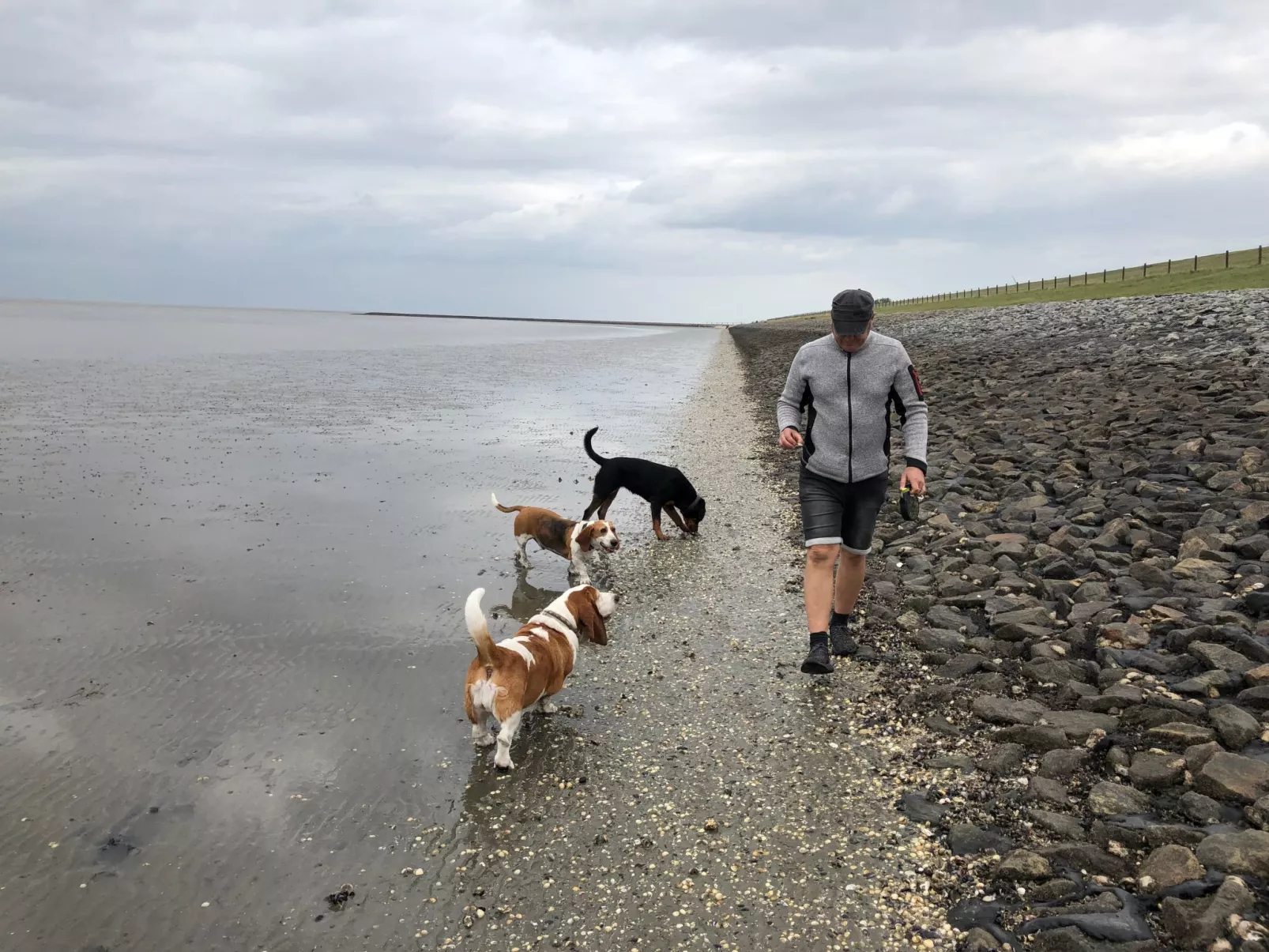 Haus Wattwurm - Image-tags.info