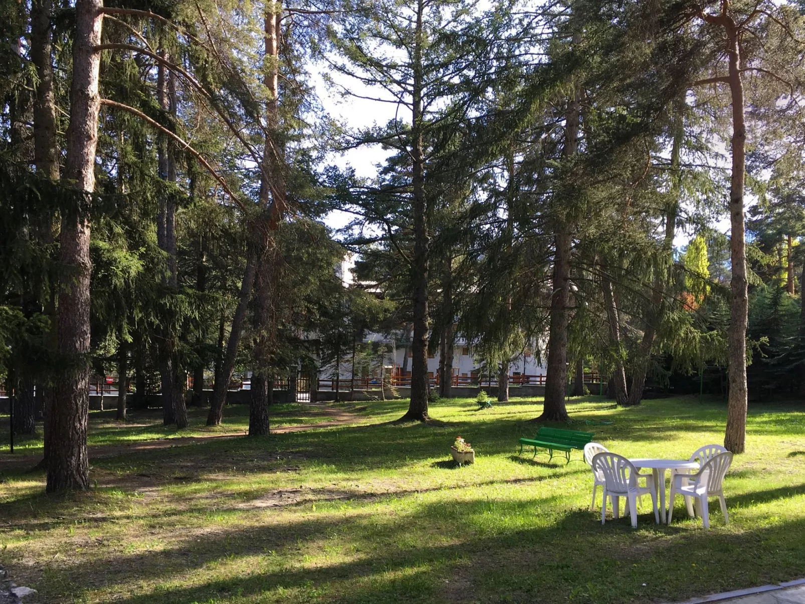 'San Francesco - Image-tags.info