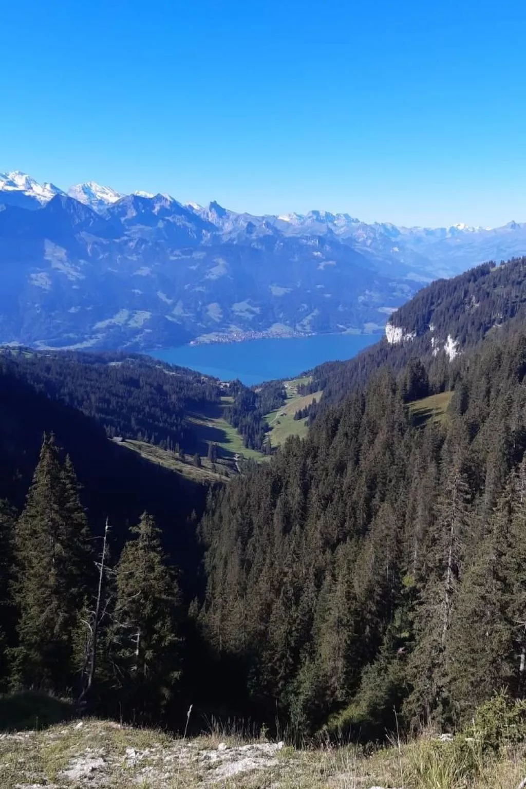 Chalet Lilo Big view - Image-tags.info