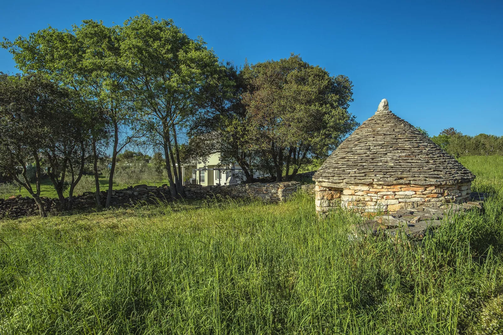 Casa Bellissima-Wellness