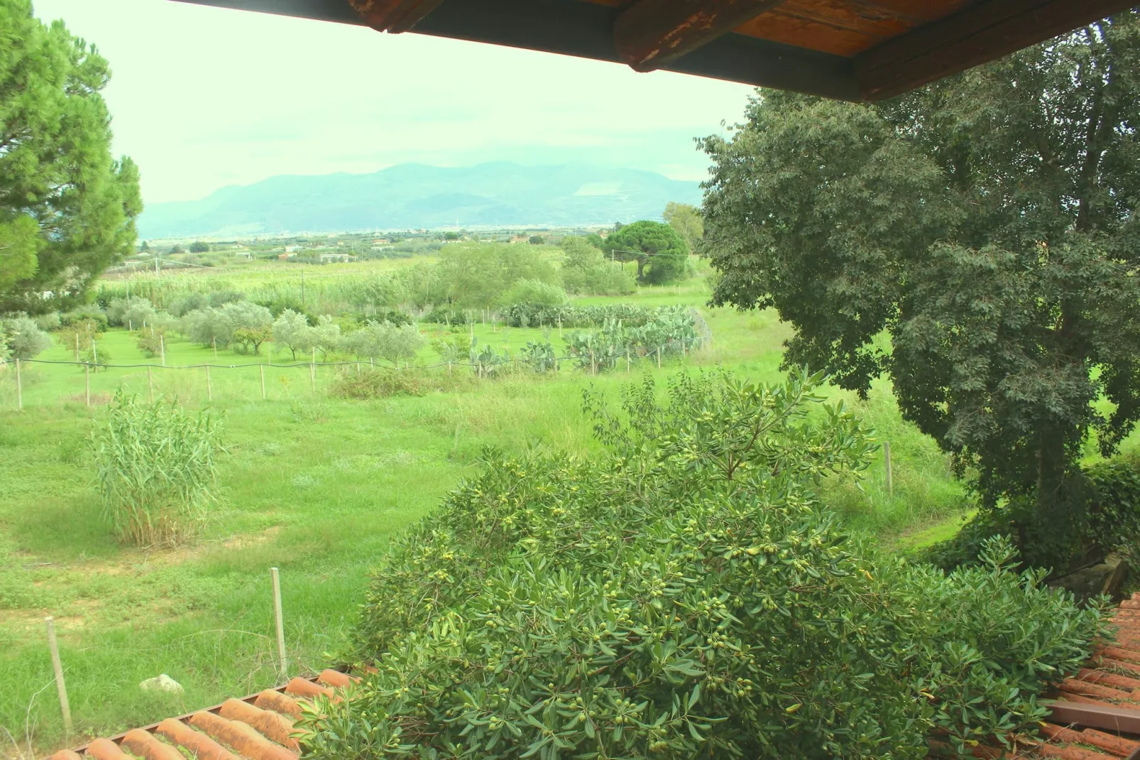 Villaseasicily 16p - Uitzicht zomer