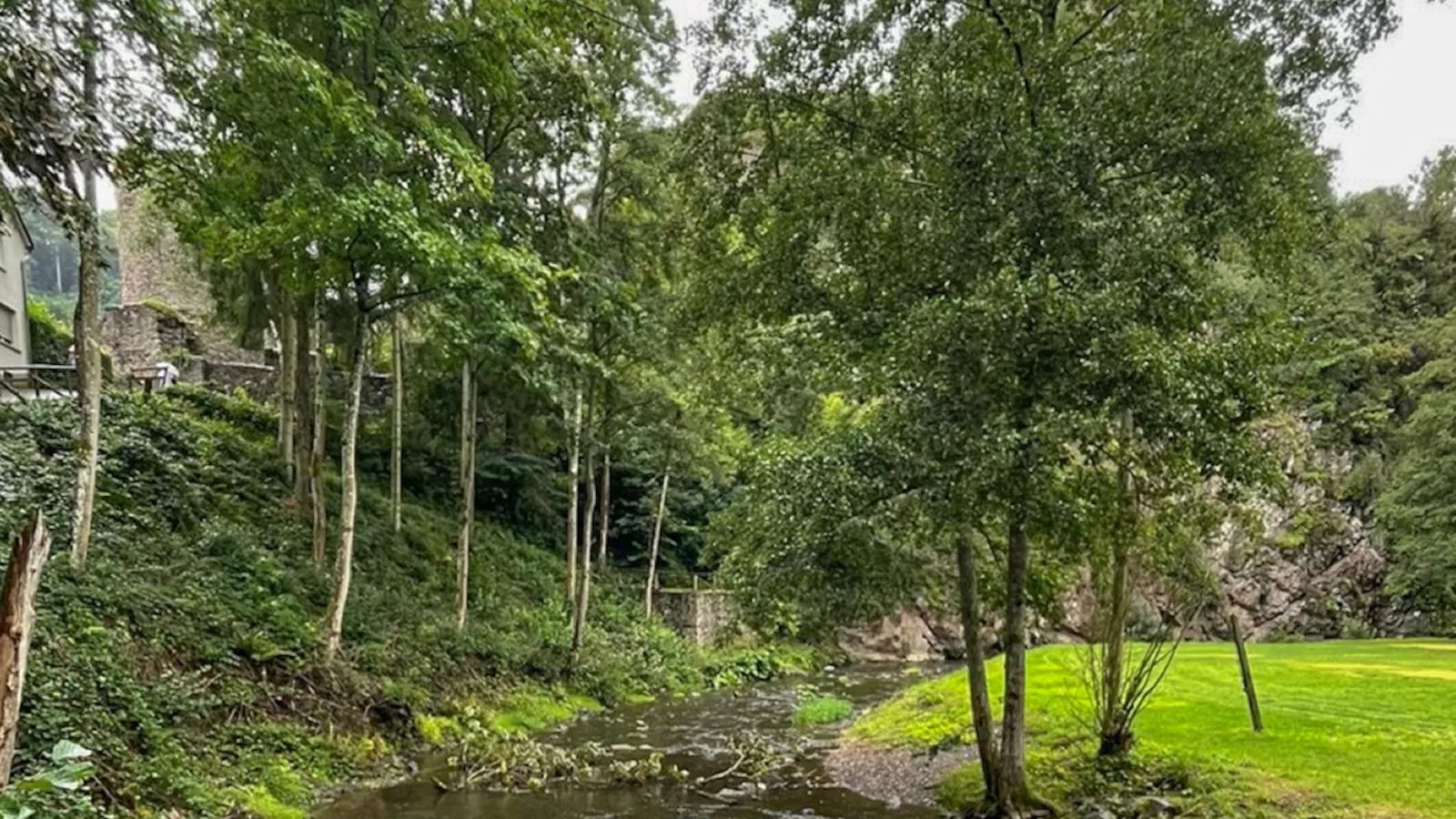 Manderscheid - Gebieden zomer 1km
