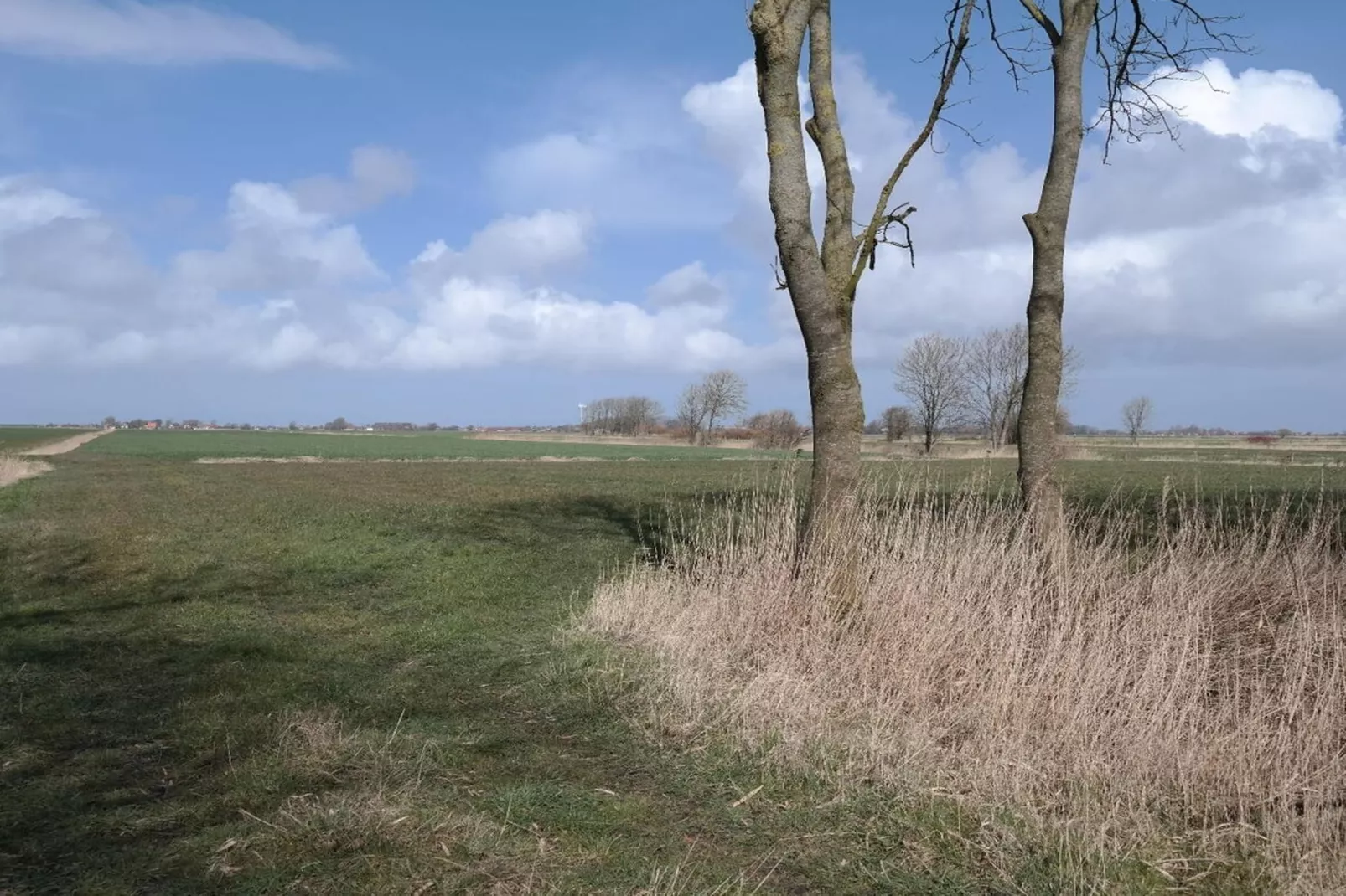 389318-Gebieden zomer 5km