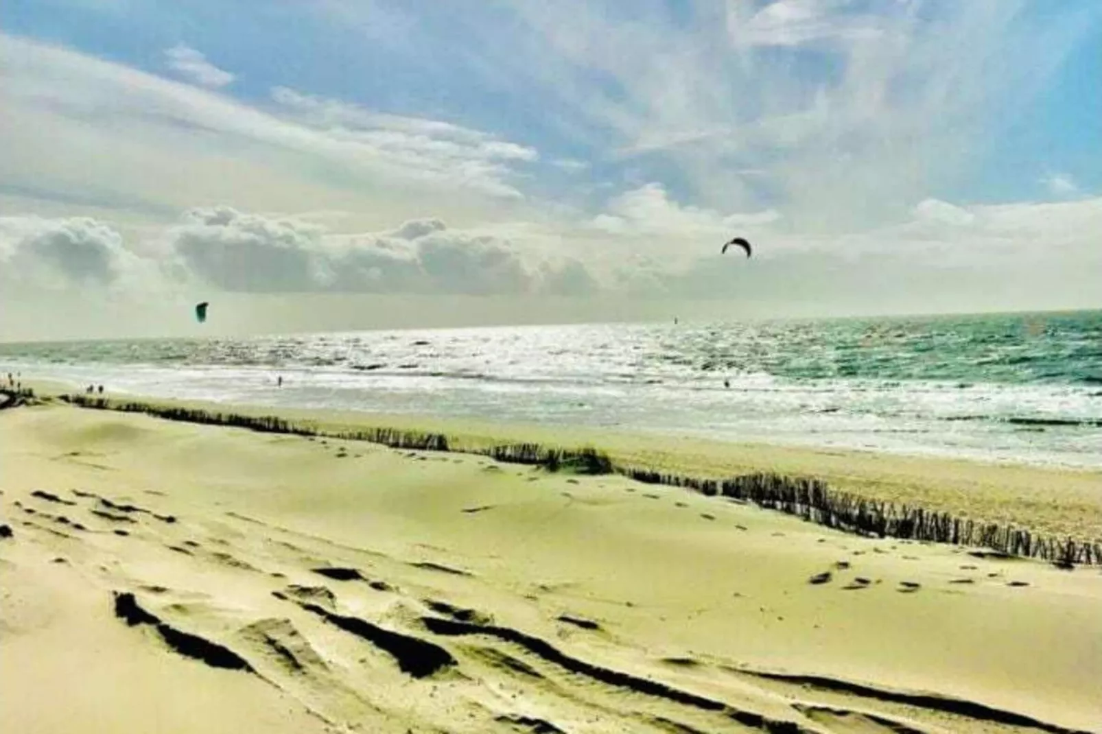 139423-Gebieden zomer 5km