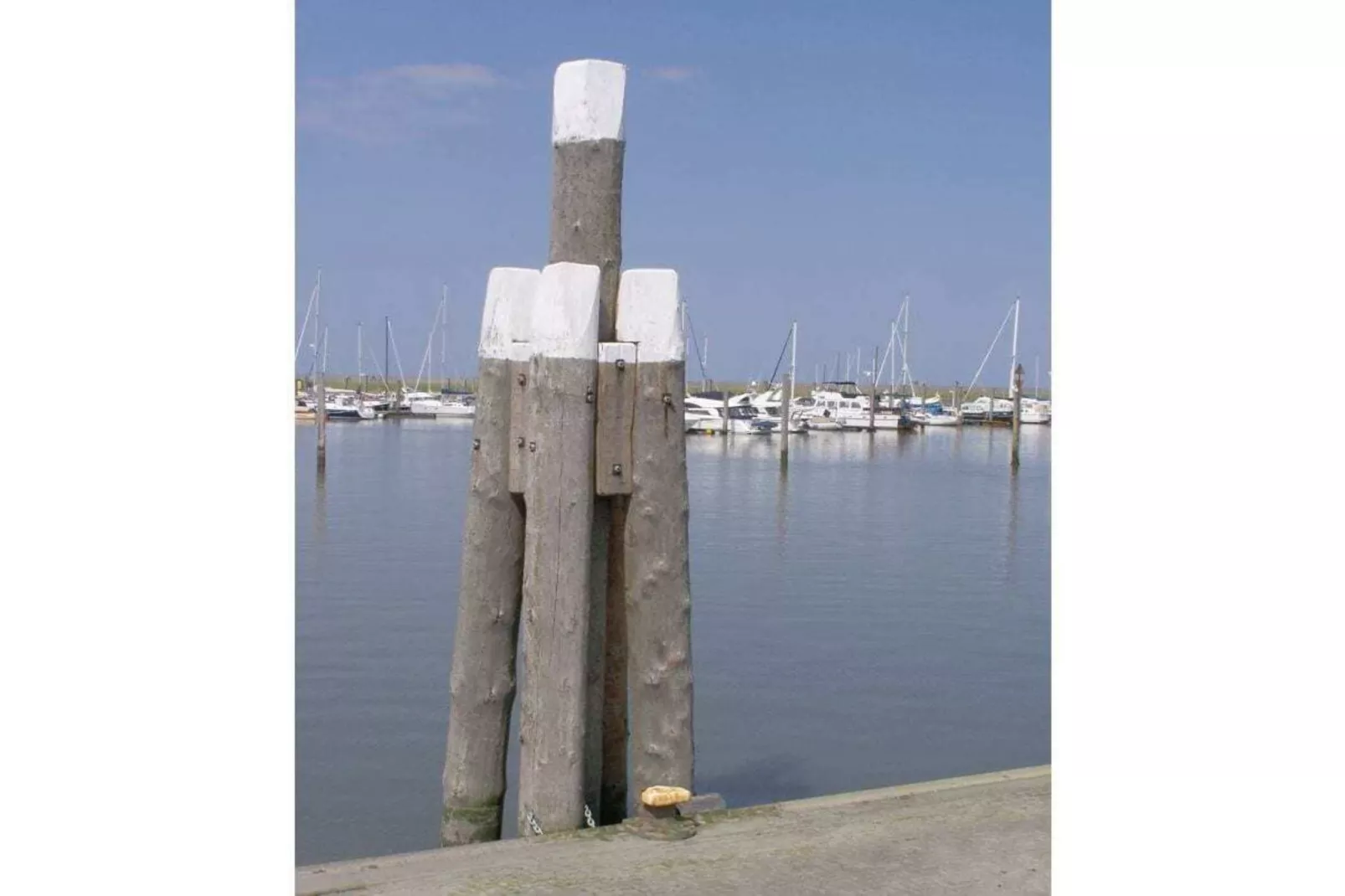 47462-Gebieden zomer 5km