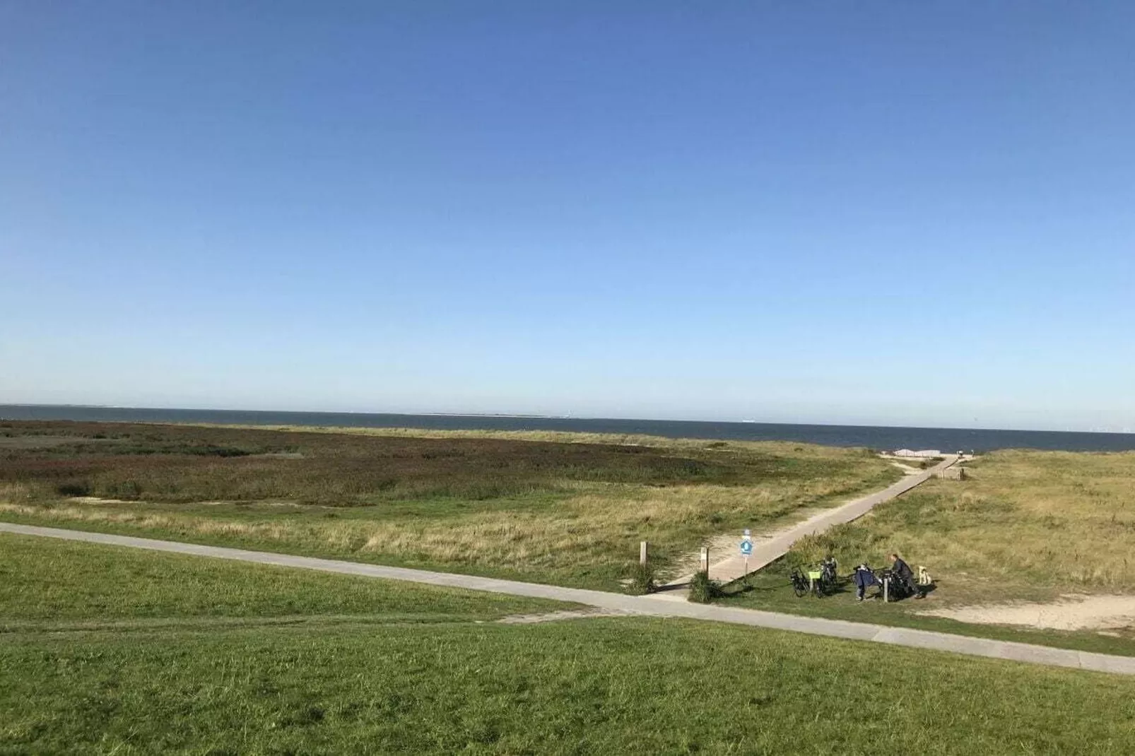 293990-Gebieden zomer 5km