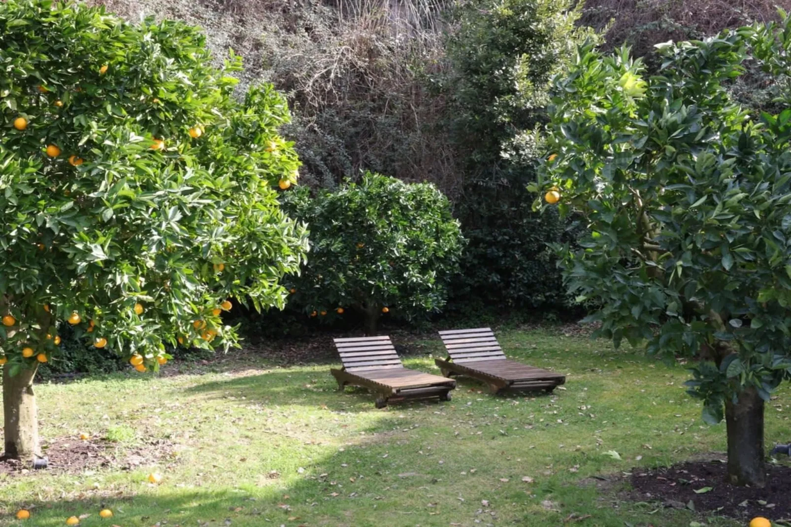 Villa Vinarte-Tuinen zomer