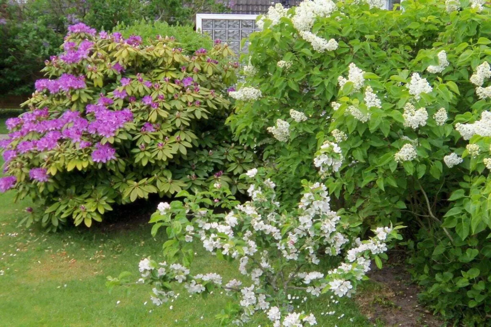 4627-Buitenkant zomer