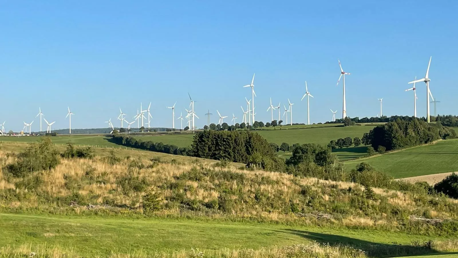 Veronica-Uitzicht zomer