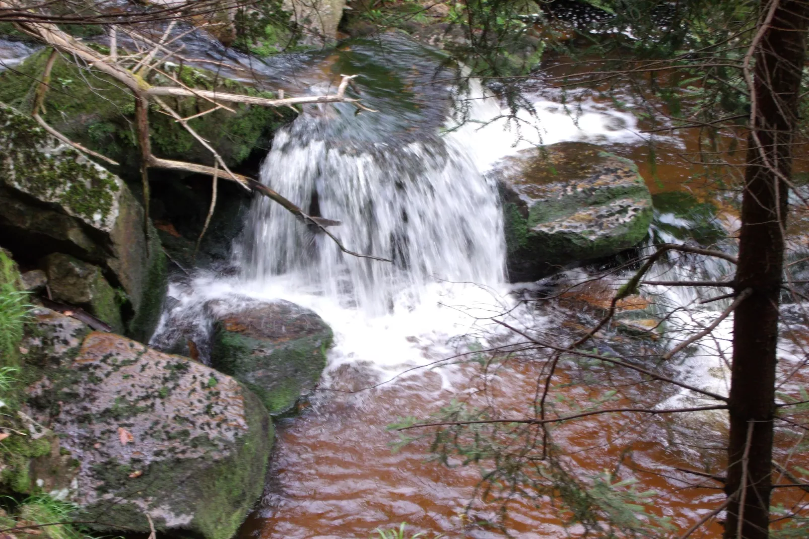Ferienhaus Rosi-Gebieden zomer 20km