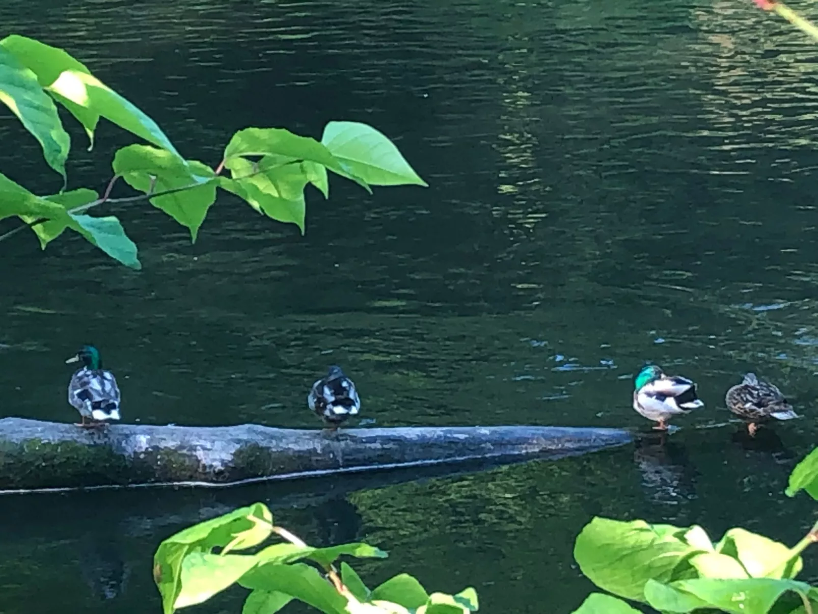 Urbane Remise - Image-tags.info