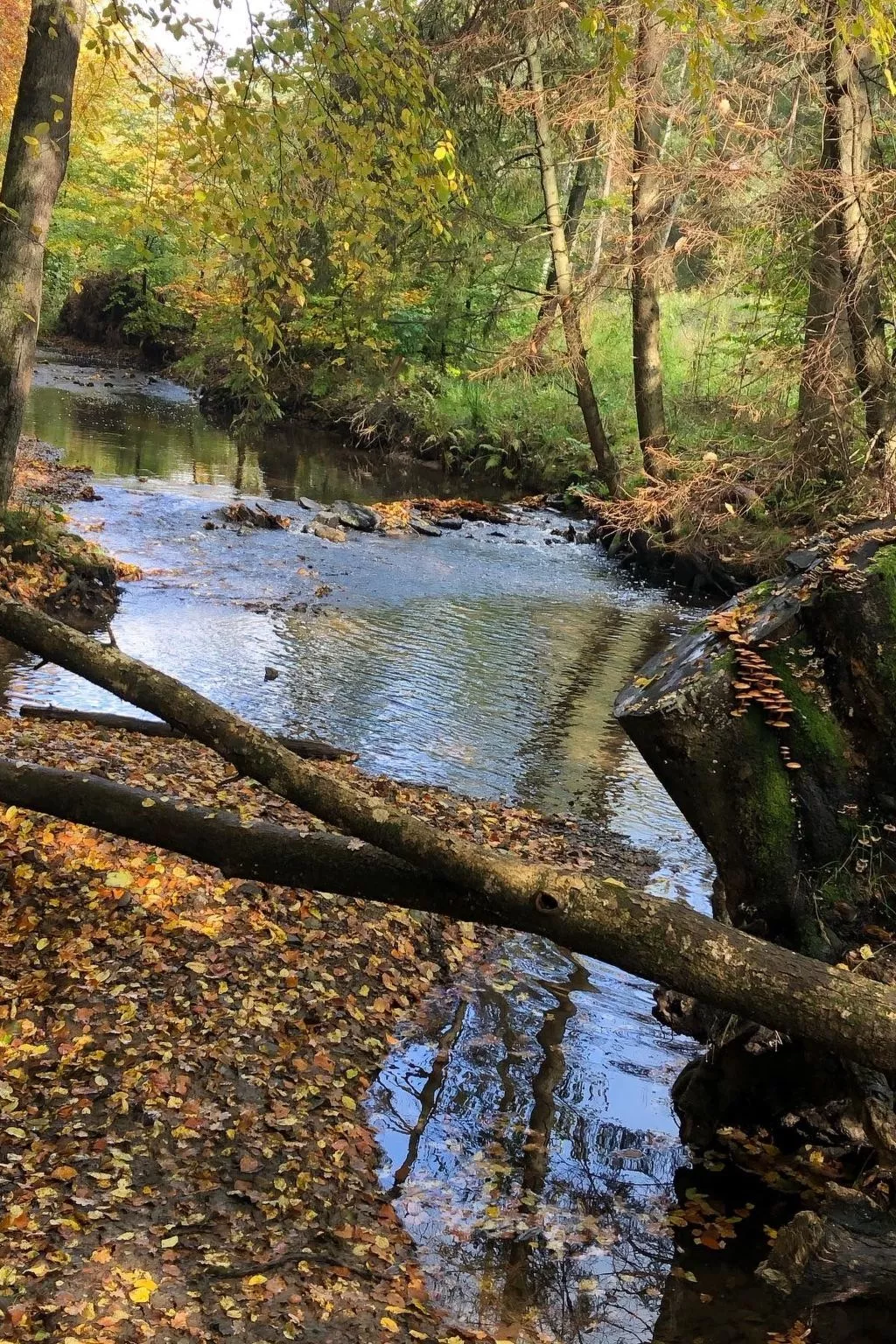 Gartenblick - Image-tags.info