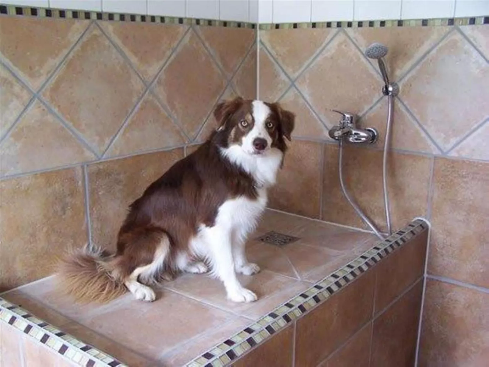 Landgut mit Dachterrasse - Binnen