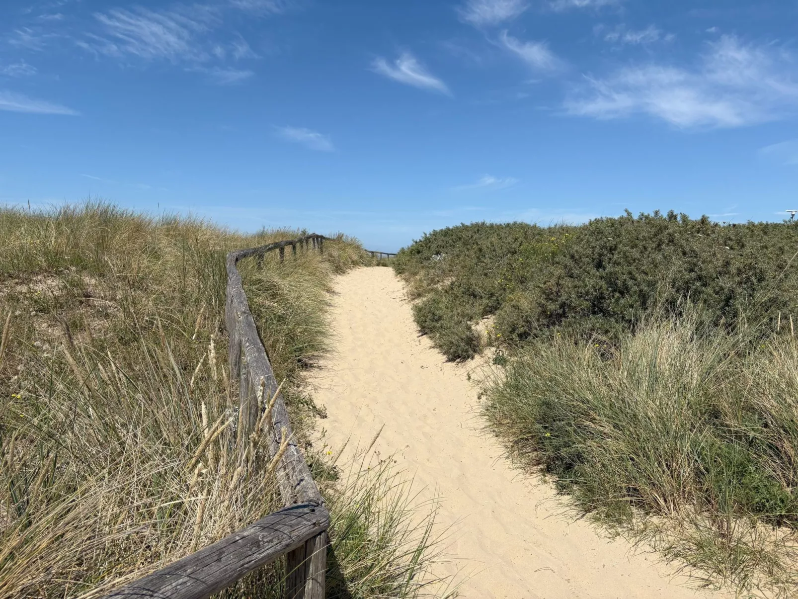 Rekerlanden 202 - Image-tags.info