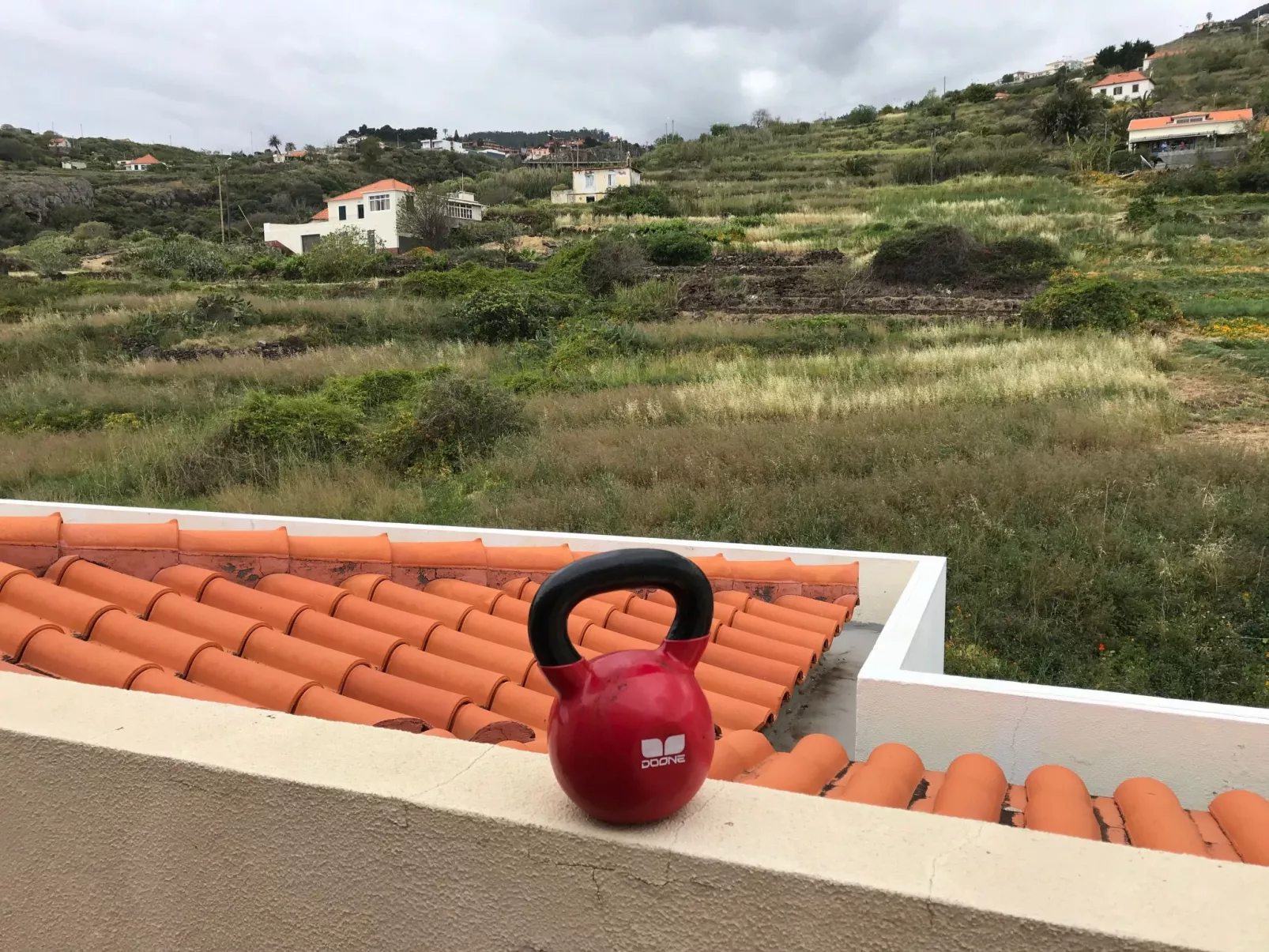 Mit Blick auf das Wasser-Image-tags.info