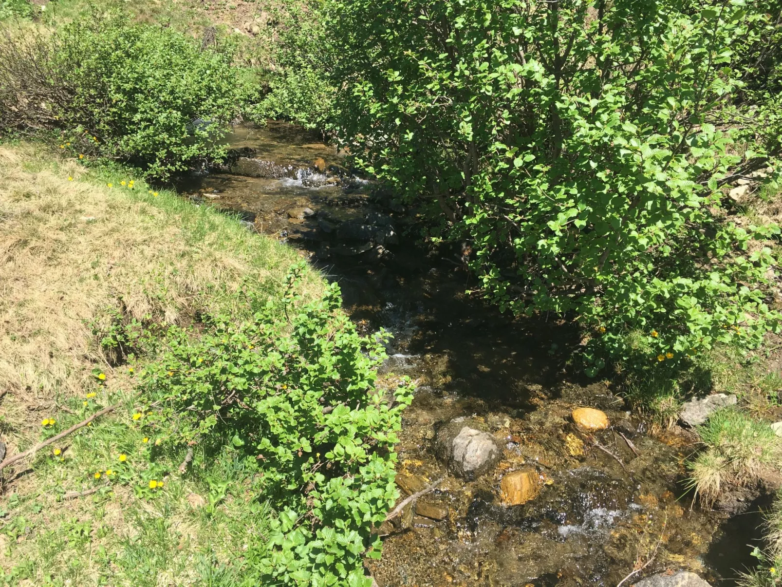 Jagdhütte - Image-tags.info