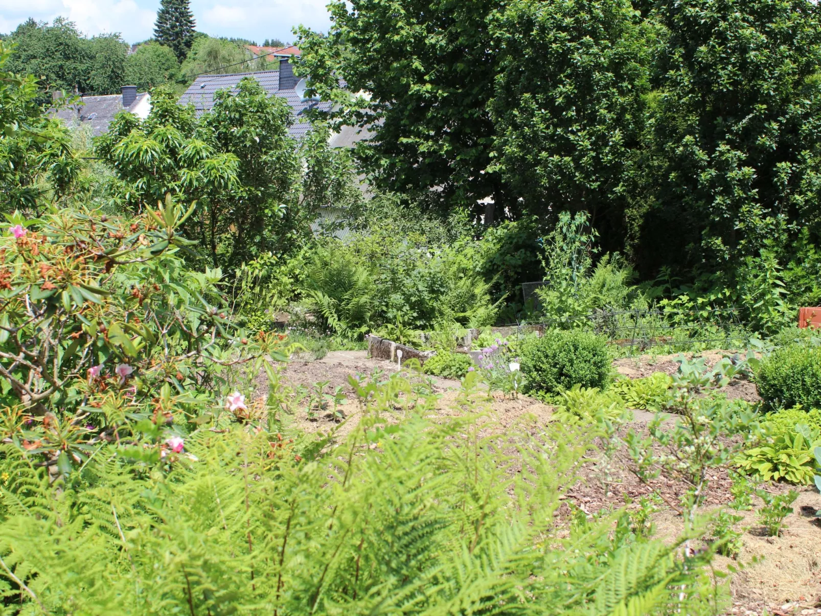 Almyssen - Image-tags.info