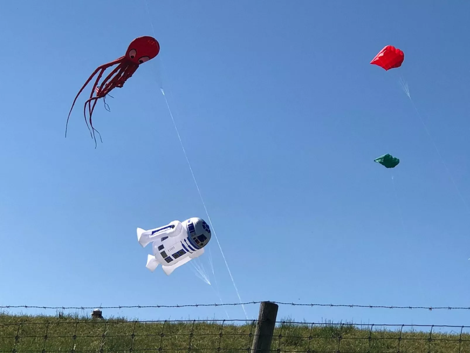 Haus Wattwurm - Image-tags.info