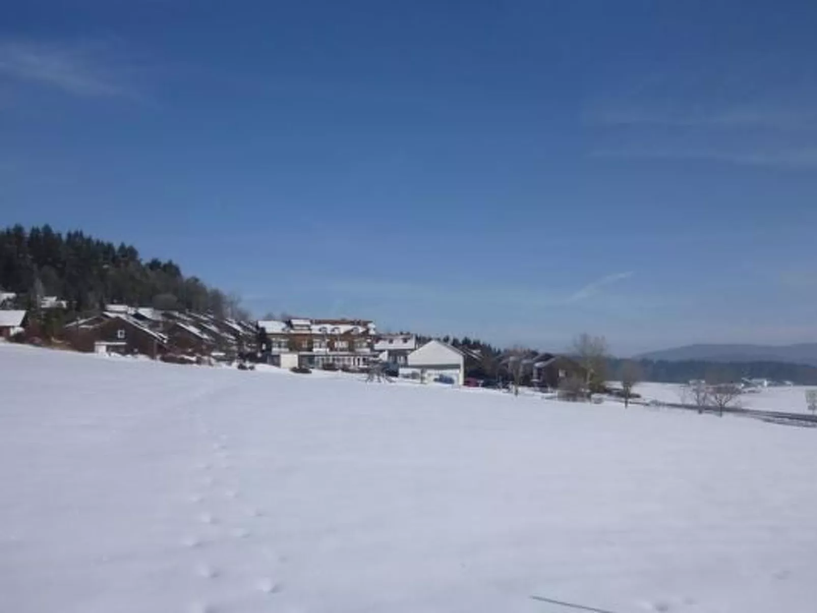 Adele - Allergiker geeignet - Image-tags.info