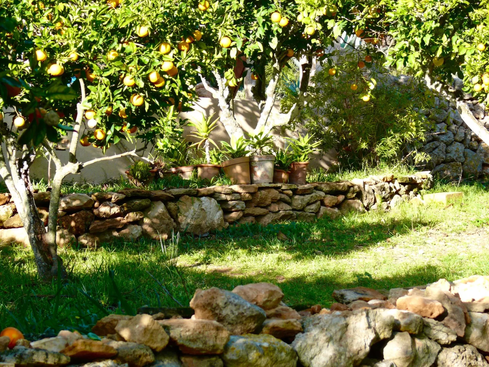 Traumhafte Naturstein-Finca in ruhiger Lage - Image-tags.info