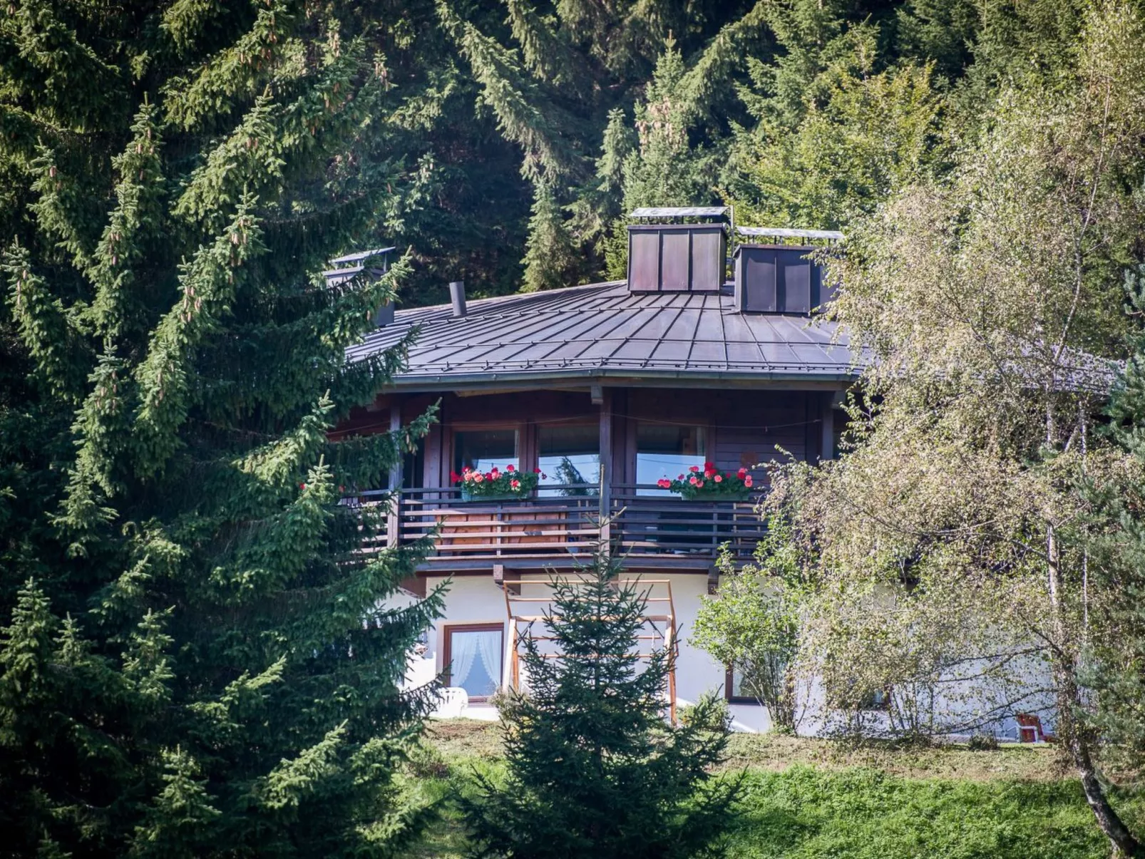 Bärenkopf supreme Studio 4 - Image-tags.info