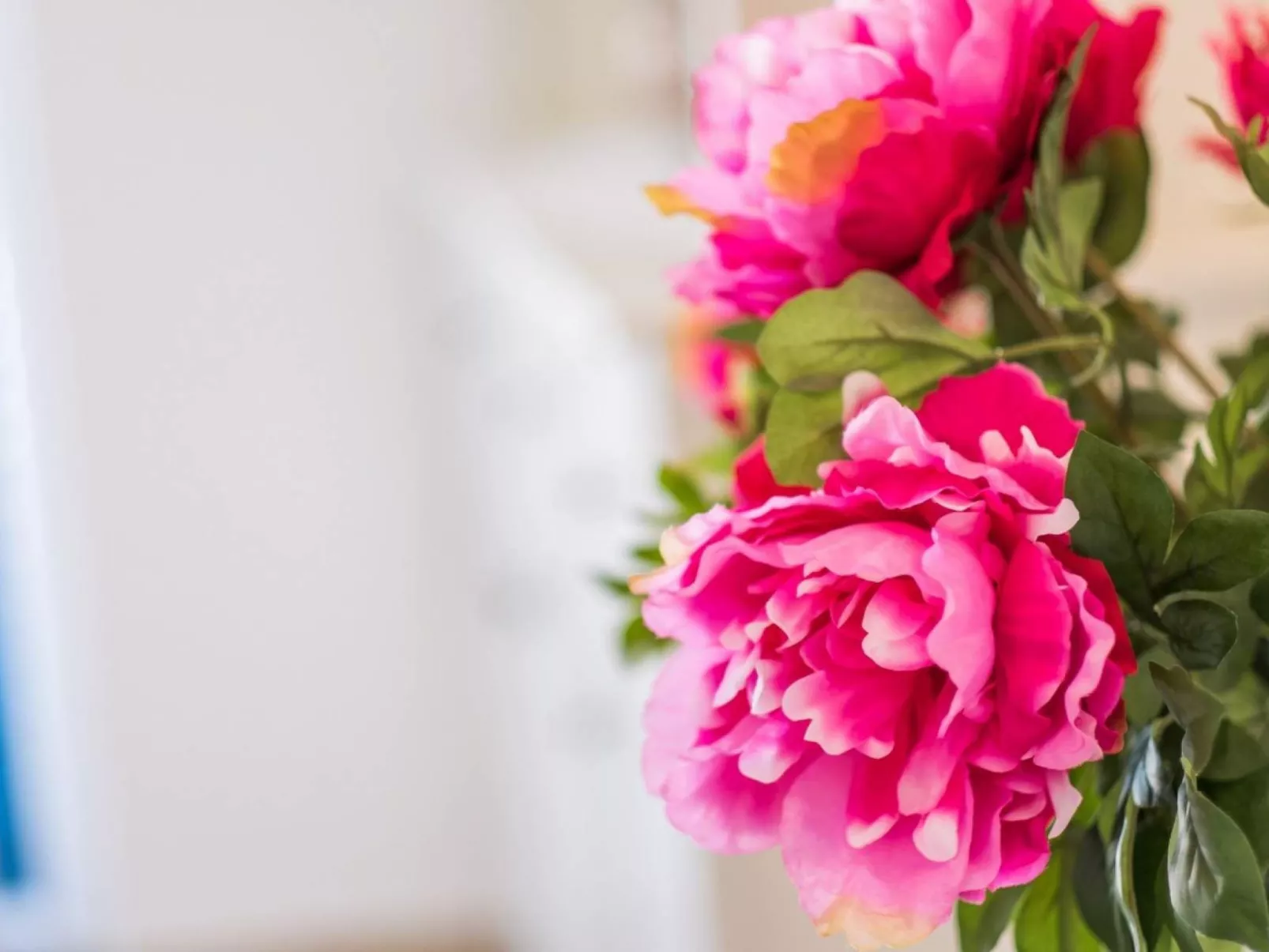 "Mela" mit Blick auf das Wasser - Image-tags.info