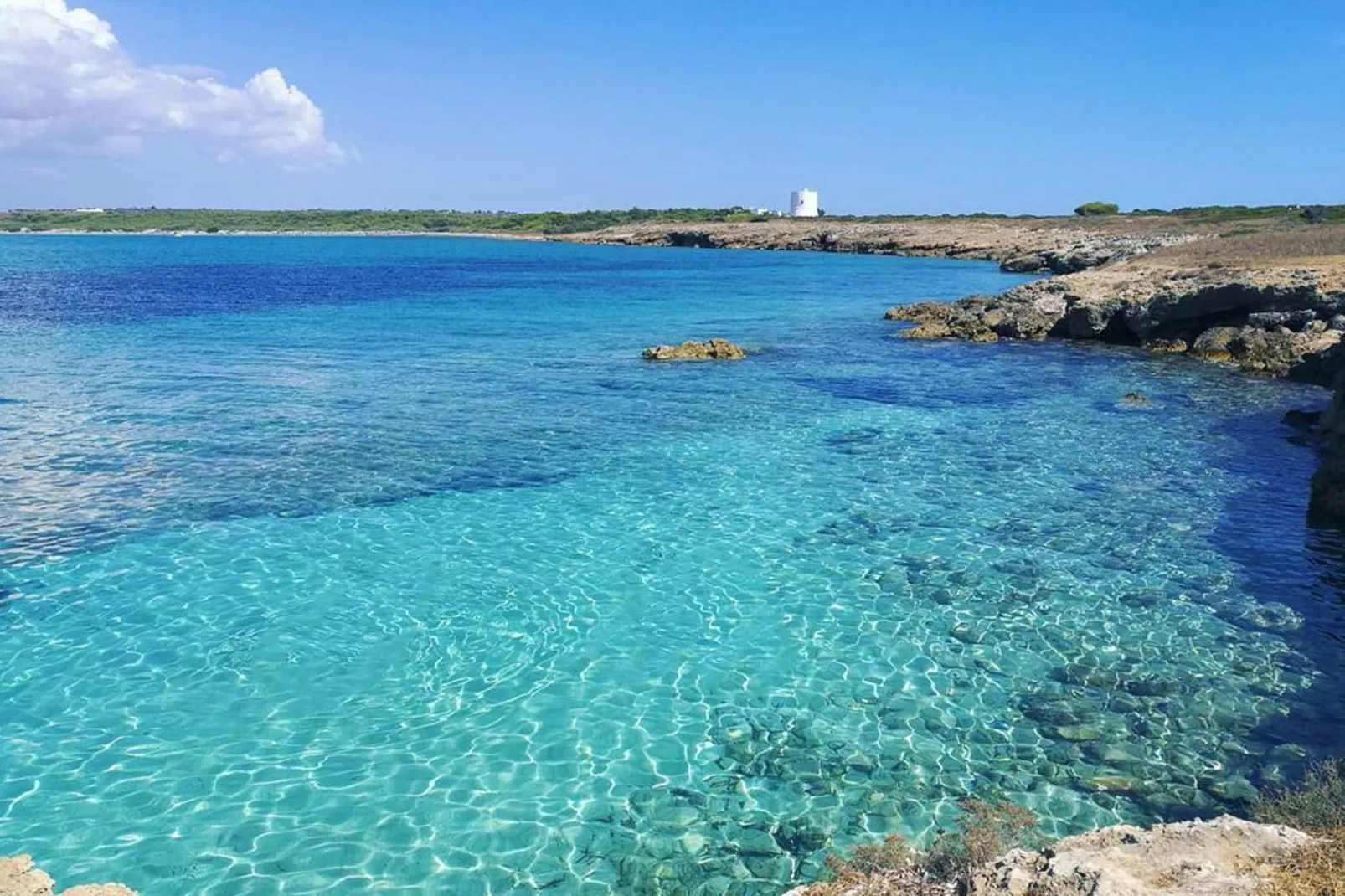 MV08 - Gebieden zomer 20km