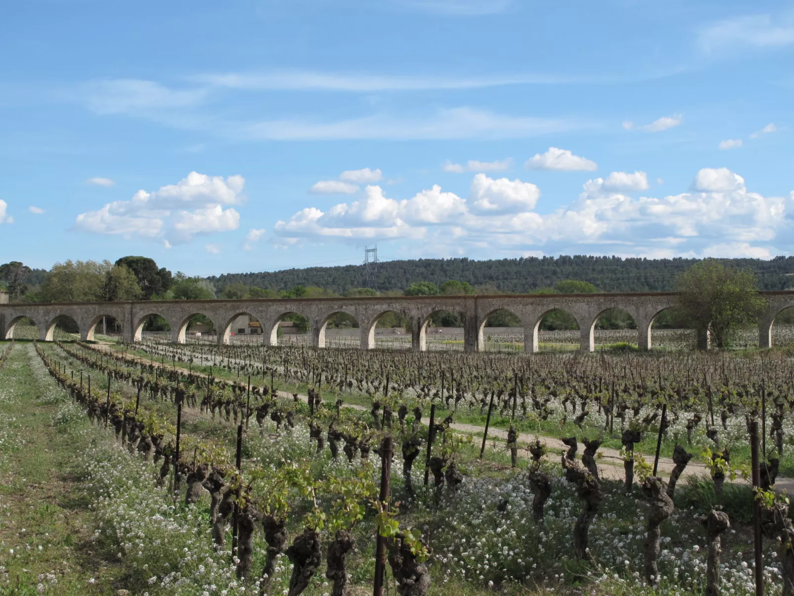 Port Minervois - Omgeving