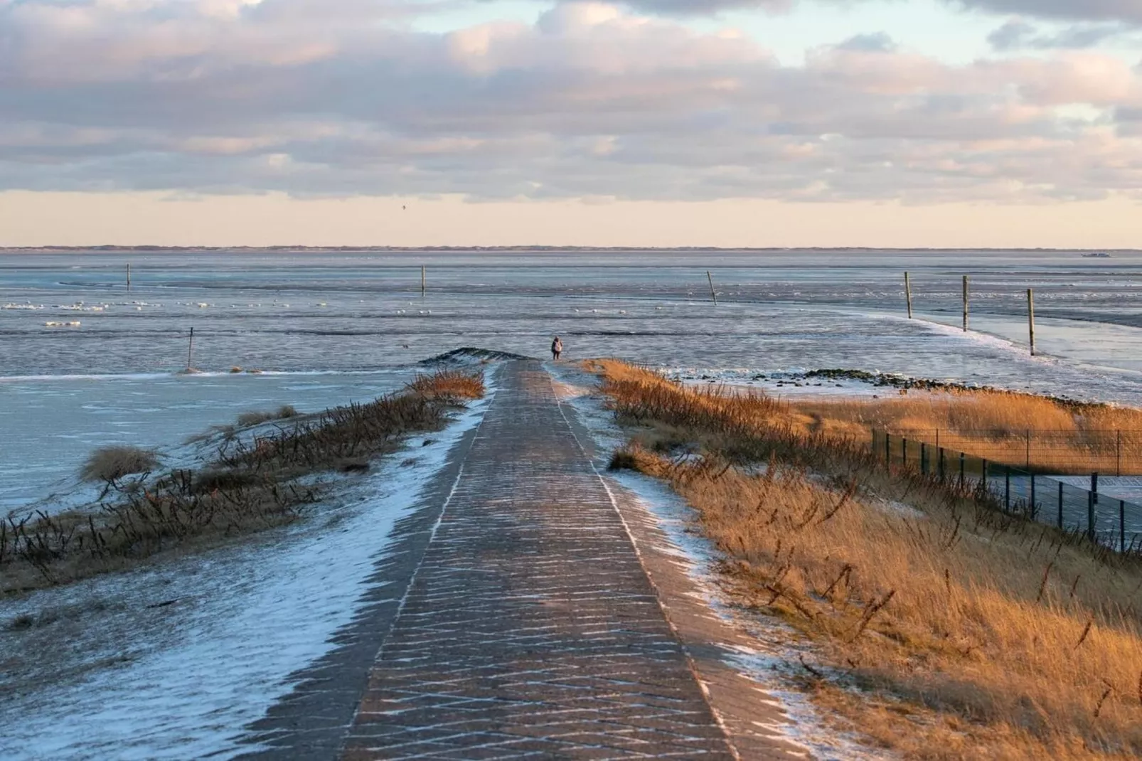 389318-Gebieden zomer 5km