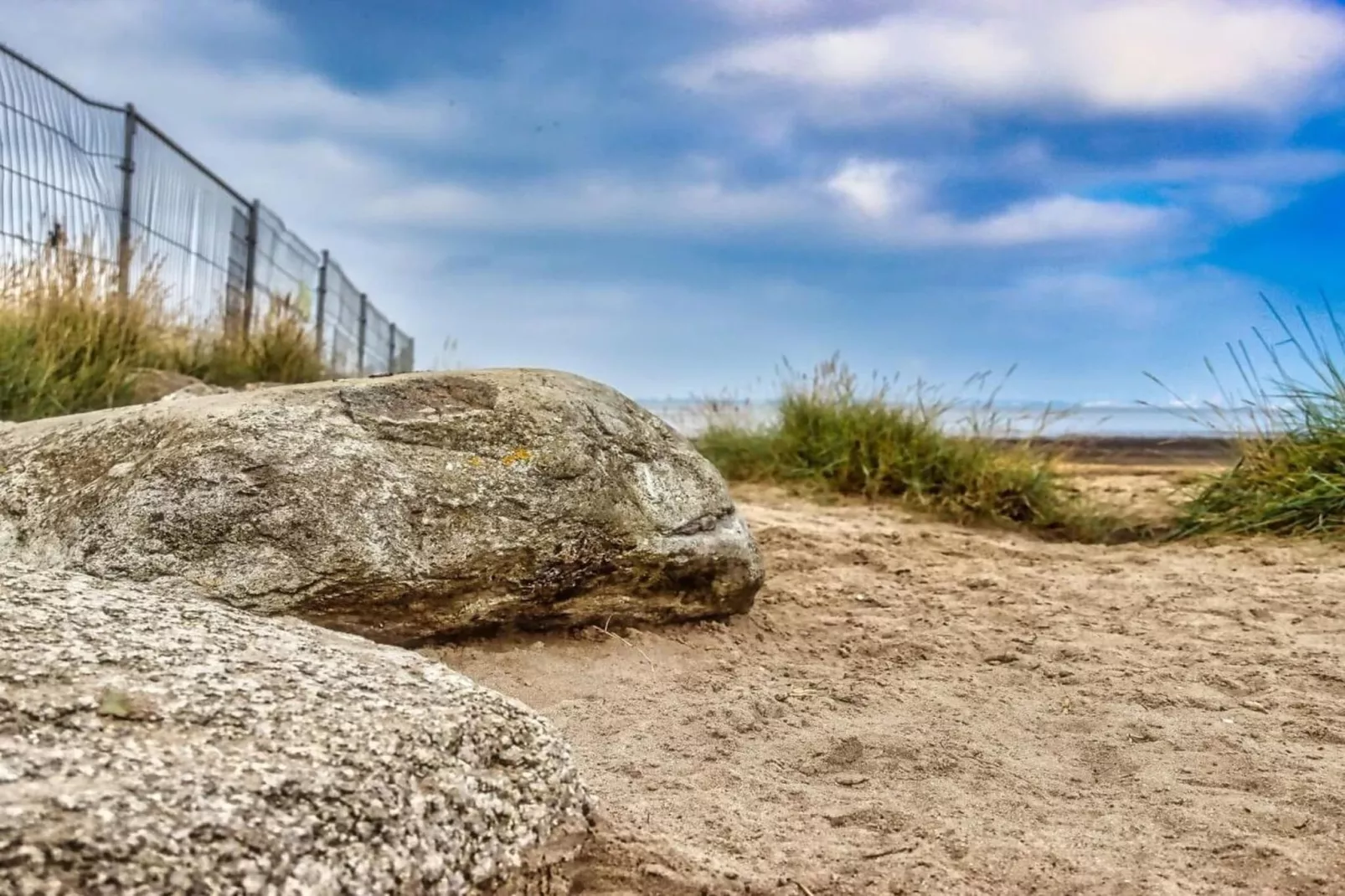352708-Gebieden zomer 5km