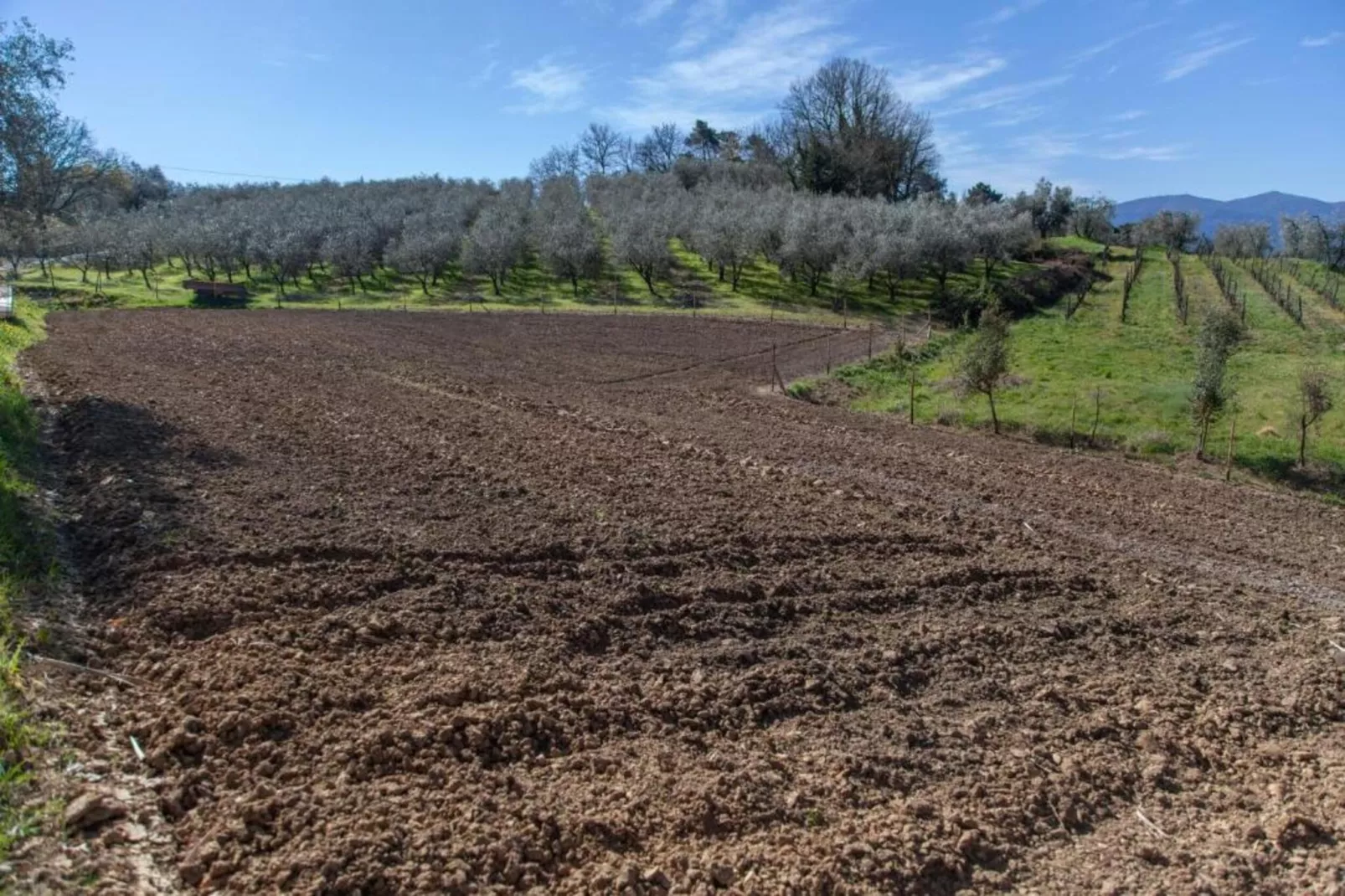 Aria di Lucca-Gebieden zomer 20km