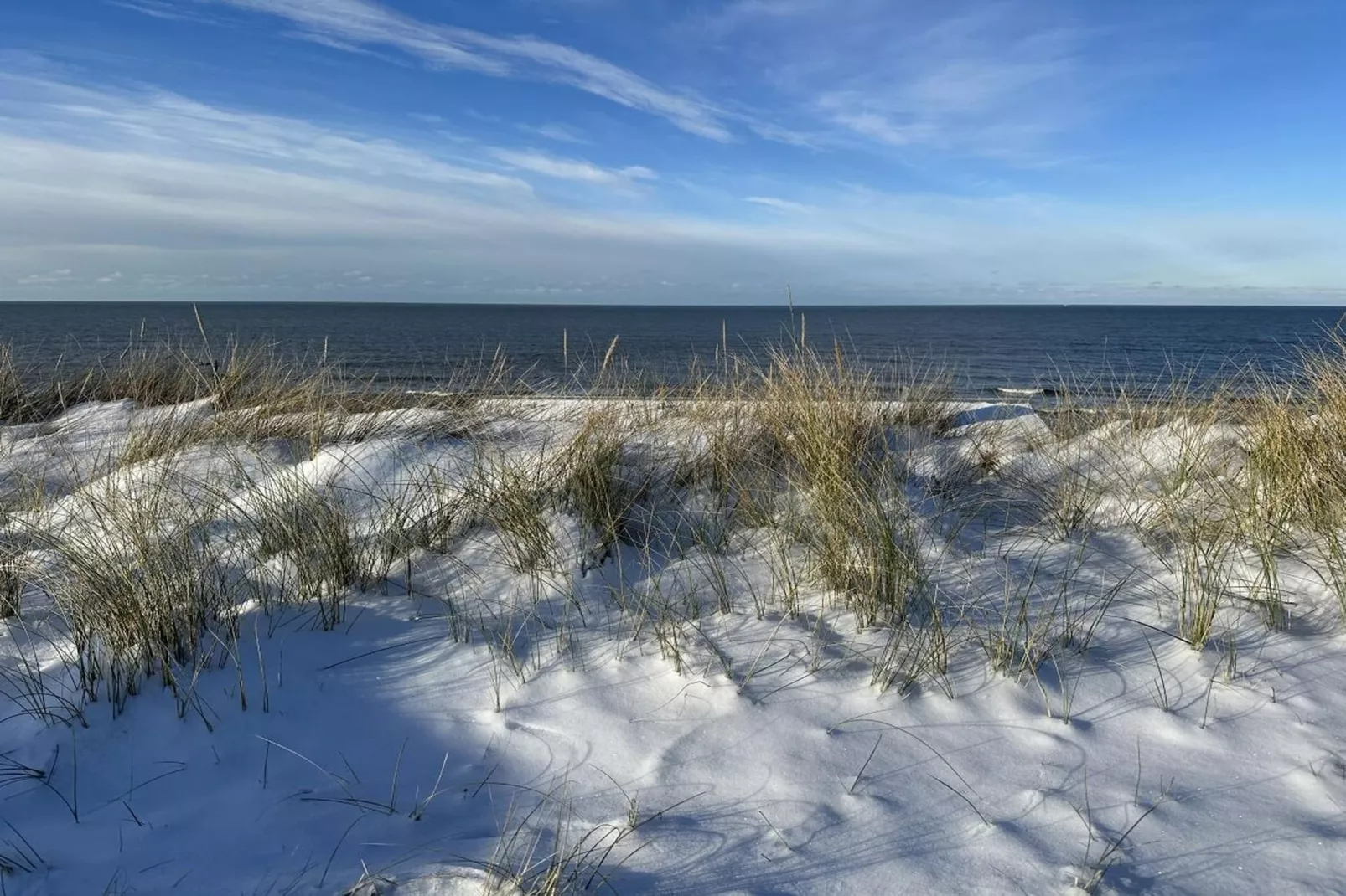 248389-Gebieden zomer 5km