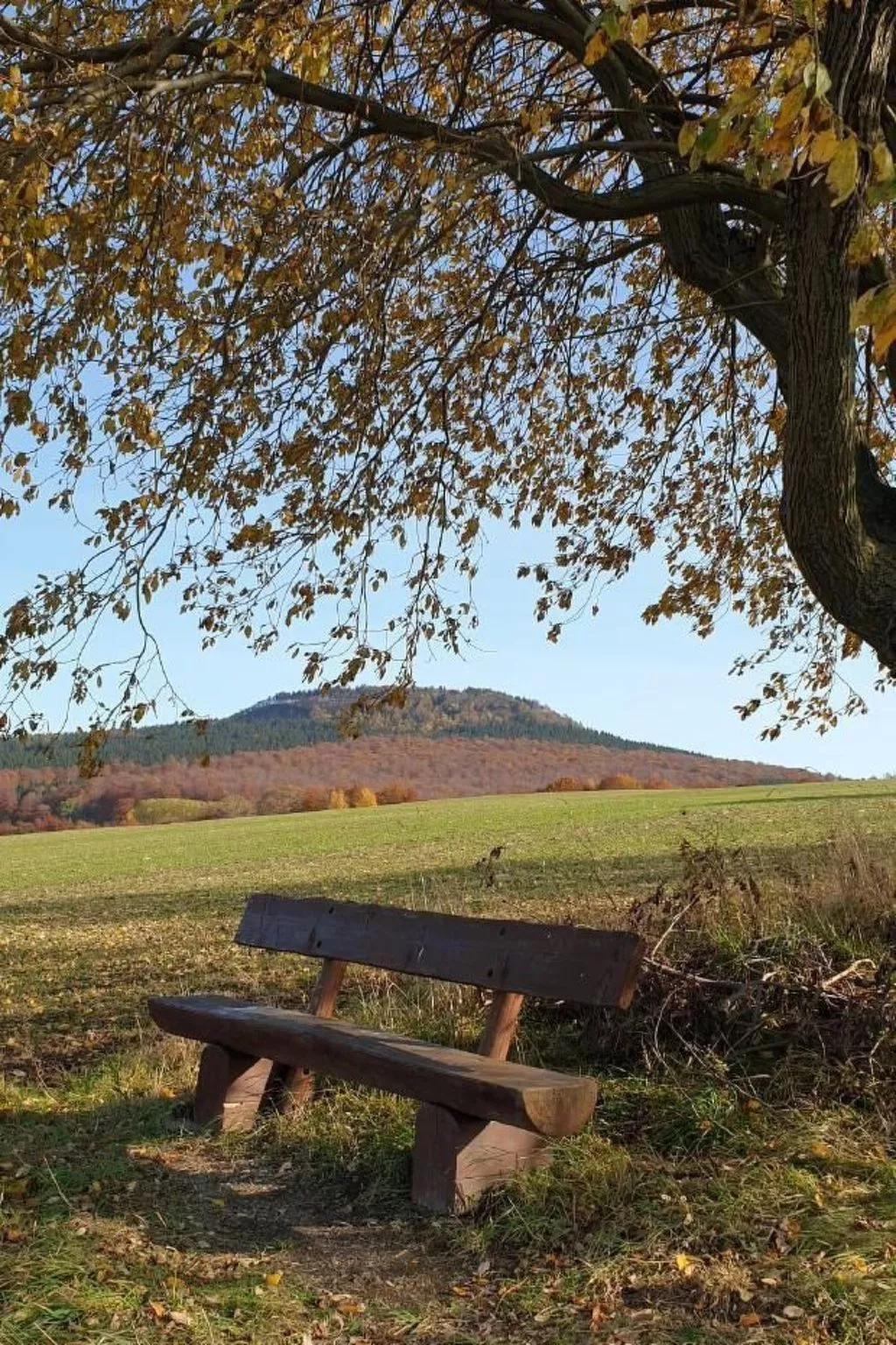 Fewo-Dorfblick-Image-tags.info