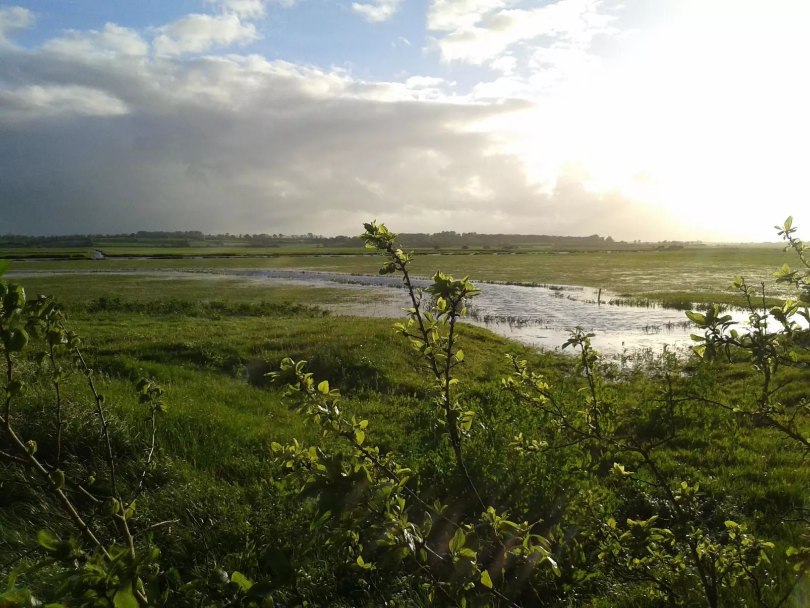 "Garence" mit eigener Terrasse-Image-tags.info