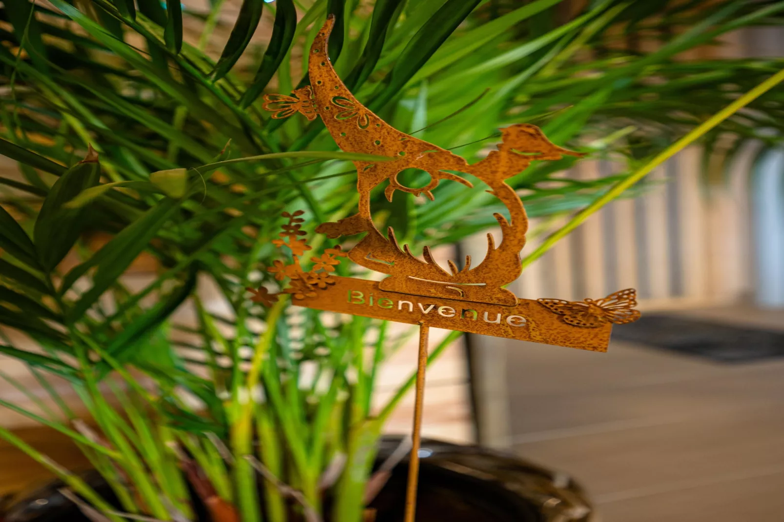 Appartement Spa Vip 2/3-Sfeer