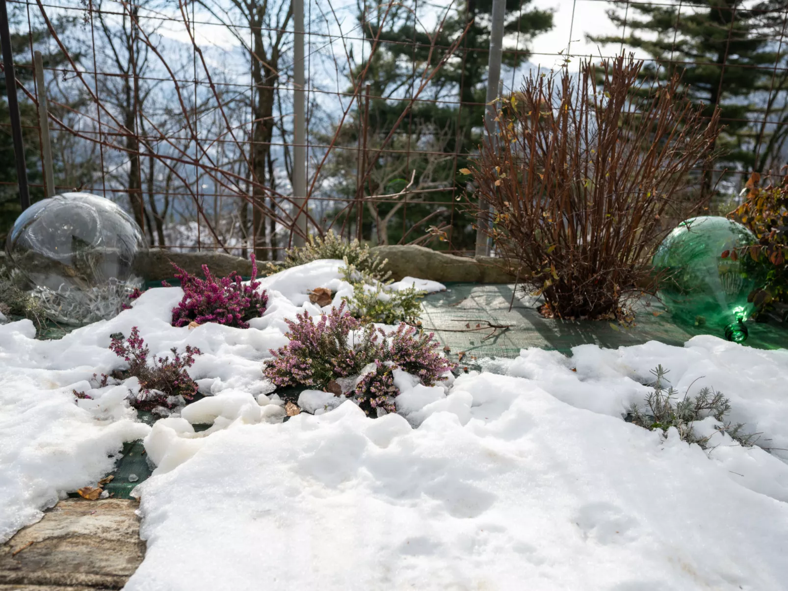 Trekker’s Home L'Infinito - Binnen