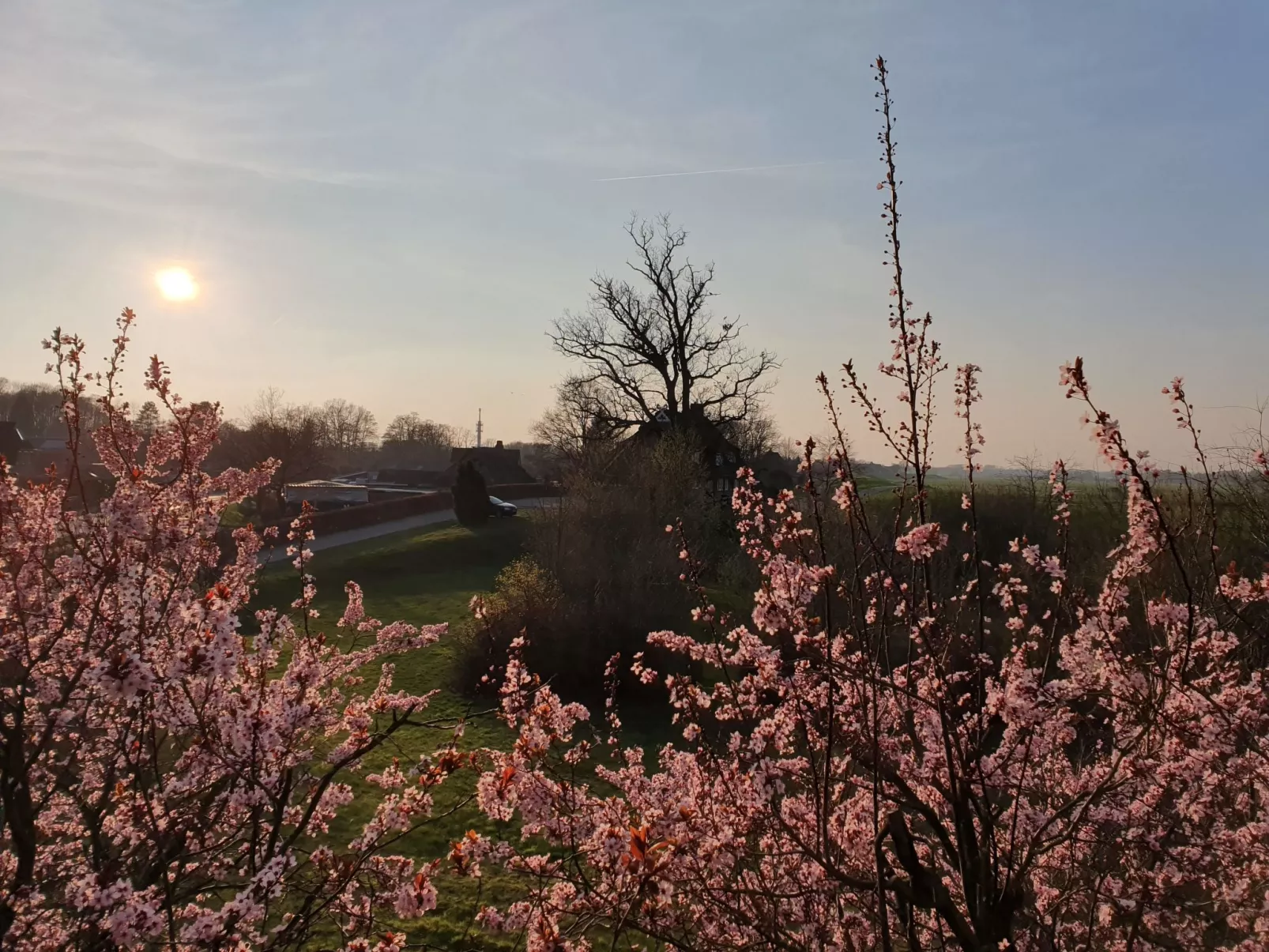 Elbufer - Image-tags.info