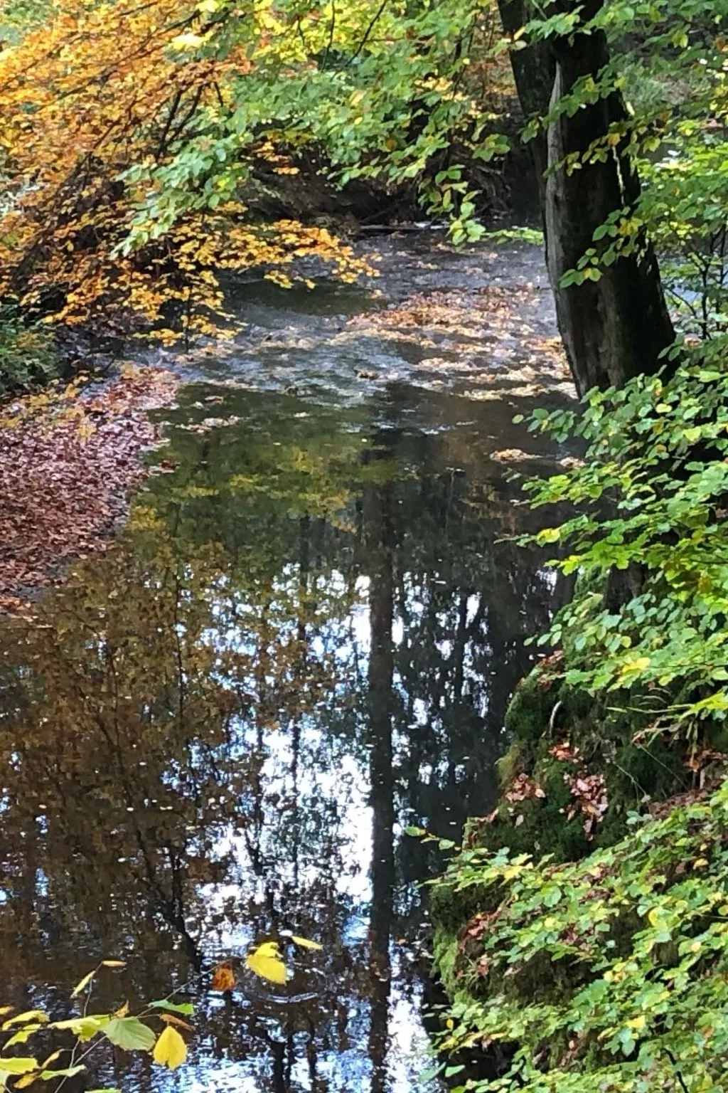 Gartenblick - Image-tags.info