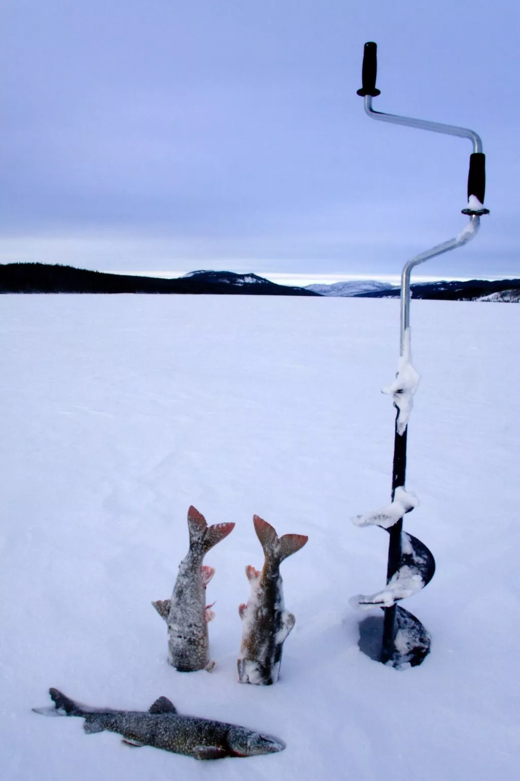 In Krokom und Seeblick - Image-tags.info