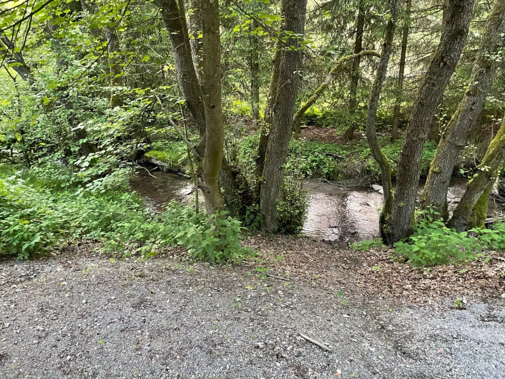 Renovierte Wohnung in Schwalefeld mit Garten, Terrasse und Grill - Image-tags.info