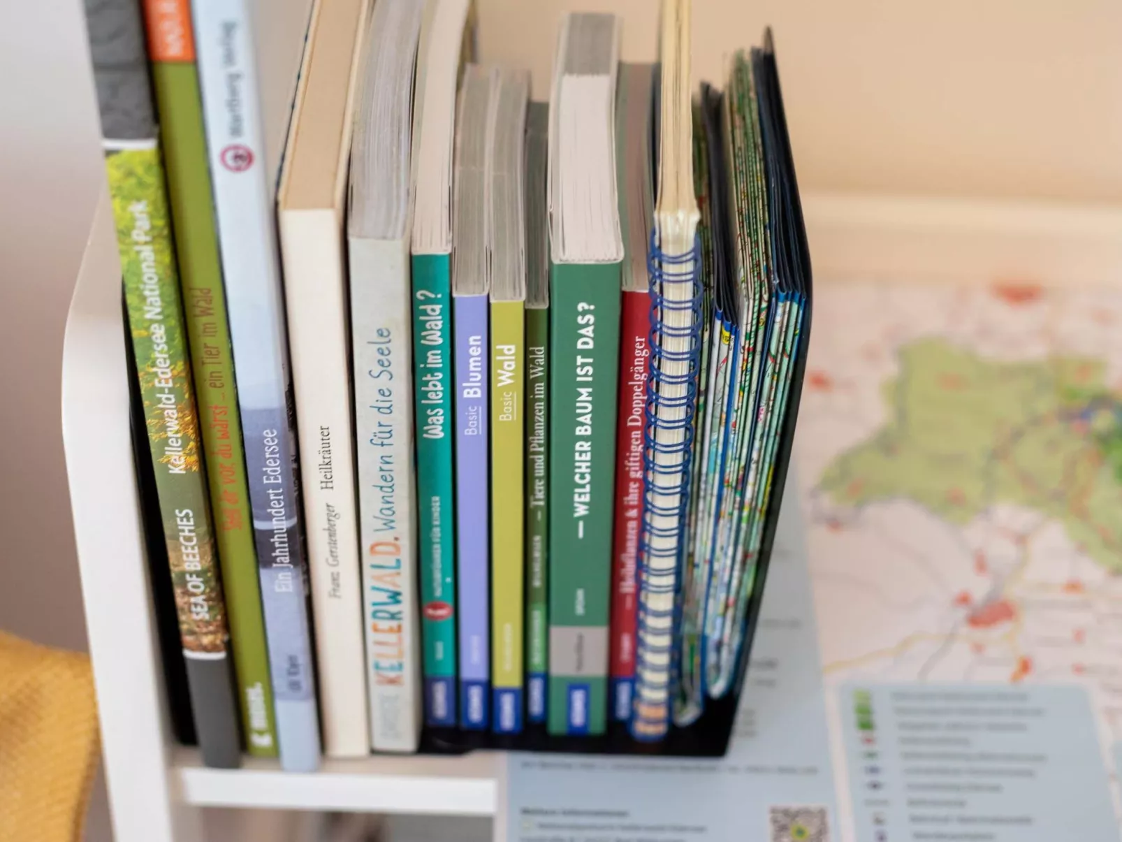 Overlook Lodge - Image-tags.info