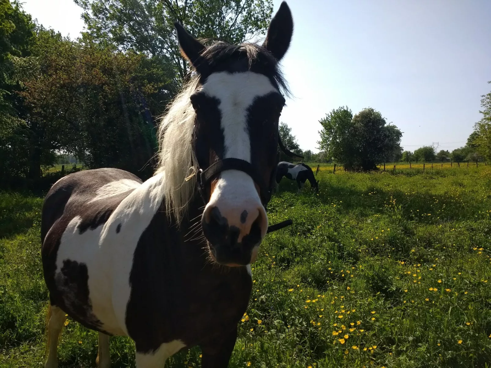 Fachwerkhaus "Charme - Image-tags.info