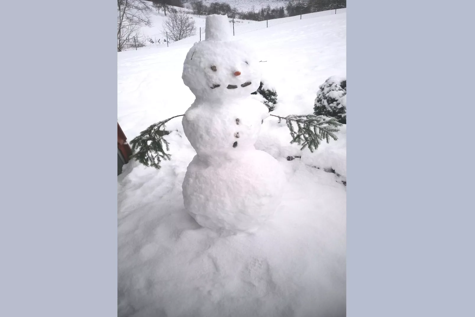 Murmeltier - Tuin winter