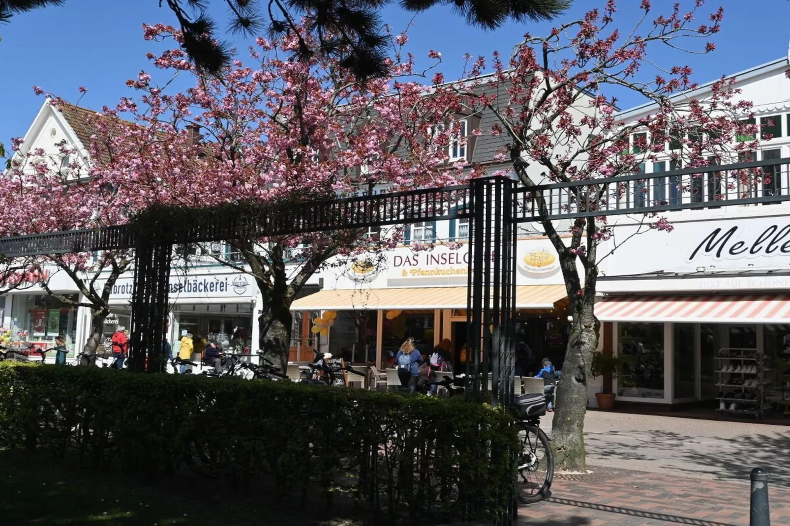 393474-Gebieden zomer 5km