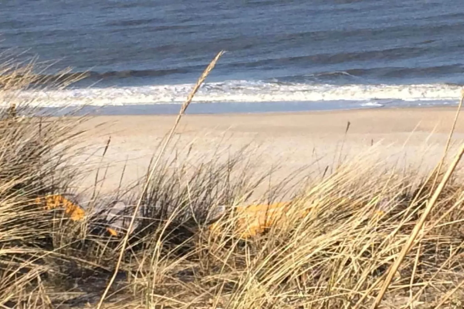 248389-Gebieden zomer 5km