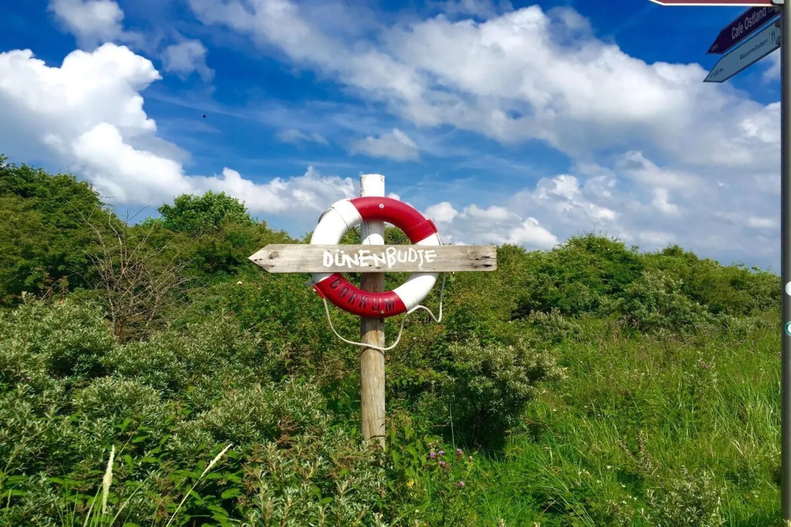 287711 - Gebieden zomer 5km