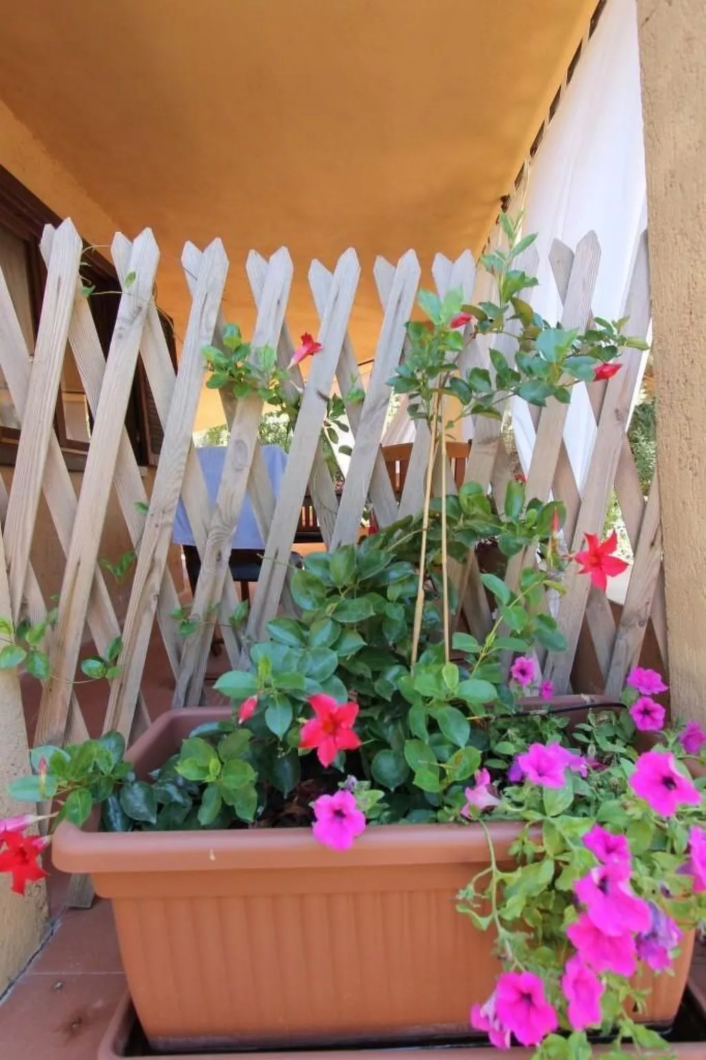 Wohnung 'Rosa 3' mit Terrasse-Buiten