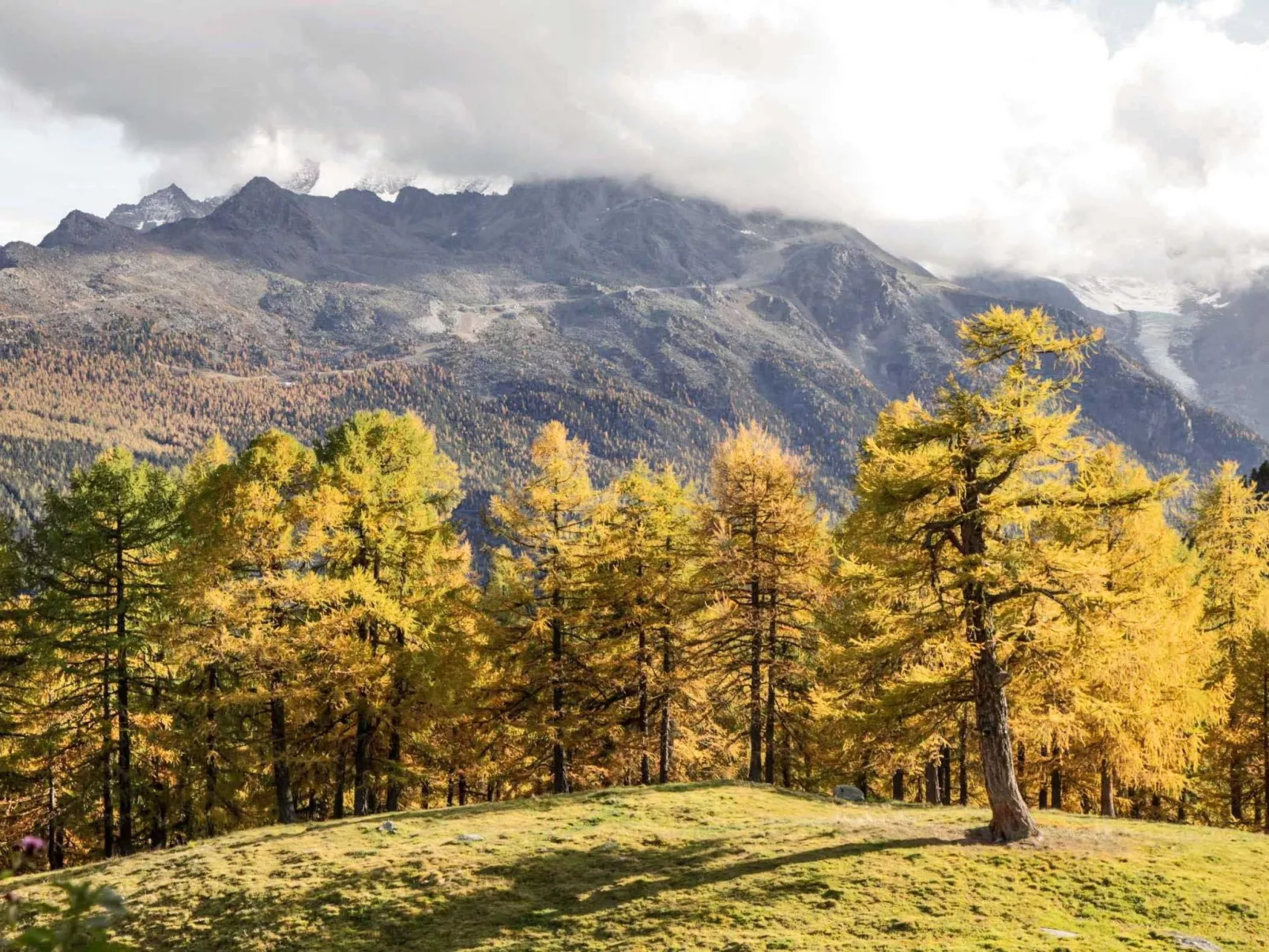 Chalet 1679 - Image-tags.info