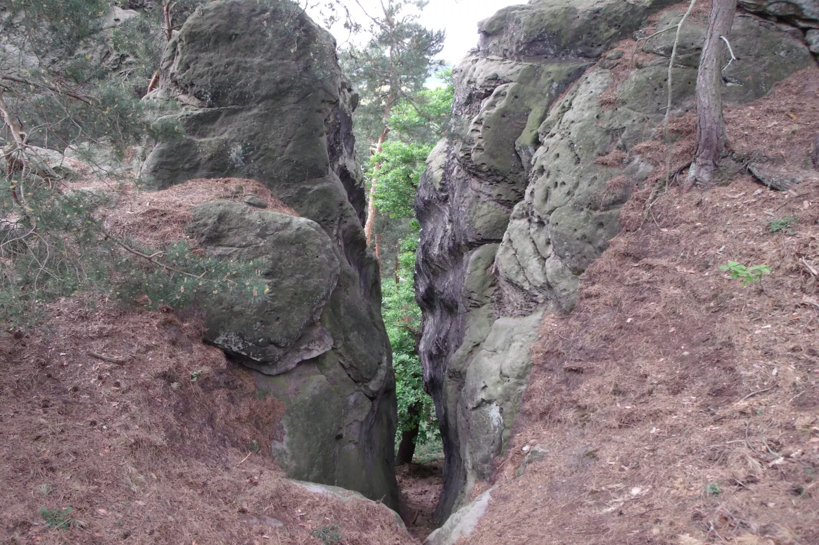 Ferienhaus Rosi-Gebieden zomer 20km
